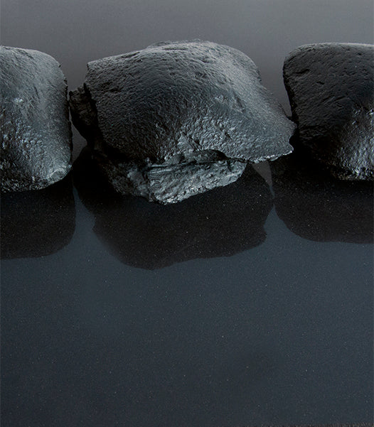 Nelson Charcoal Briquettes